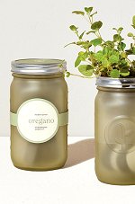 Garden Jar - Oregeno<br>Indoor Kit - Modern Sprout